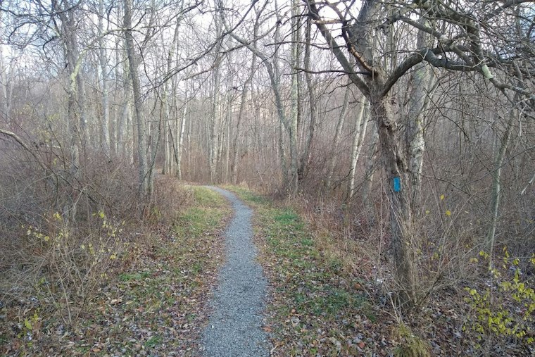26-Year-Old Bicyclist Seriously Injured in Crash at Moraine State Park