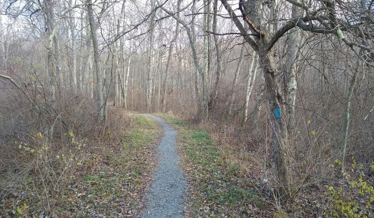 26-Year-Old Bicyclist Seriously Injured in Crash at Moraine State Park
