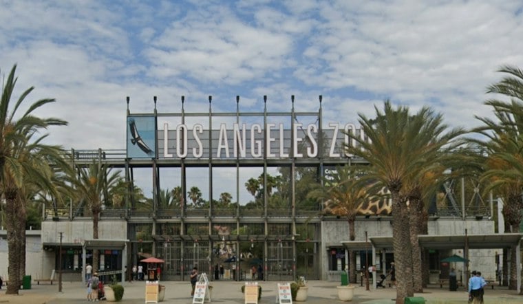 40 Blind or Low-Vision Kids Learn to Navigate the L.A. Zoo's Stairs, Sounds and Obstacles