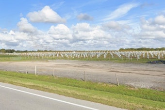 584 Acres of Polk County Citrus Land Up for Auction, Draws Growers and Conservationists