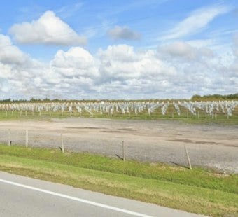 584 Acres of Polk County Citrus Land Up for Auction, Draws Growers and Conservationists