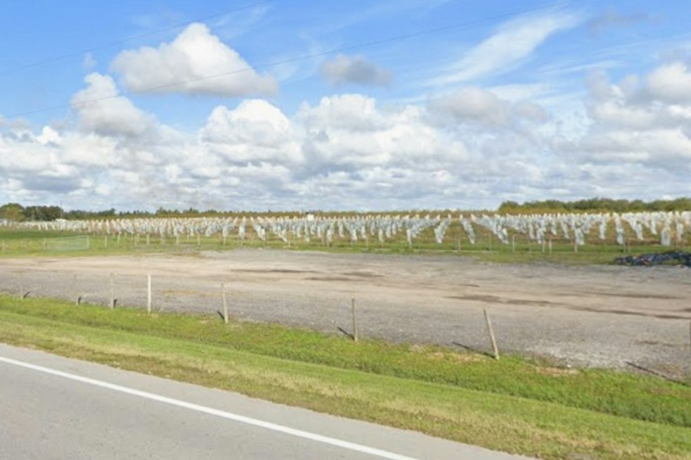 584 Acres of Polk County Citrus Land Up for Auction, Draws Growers and Conservationists