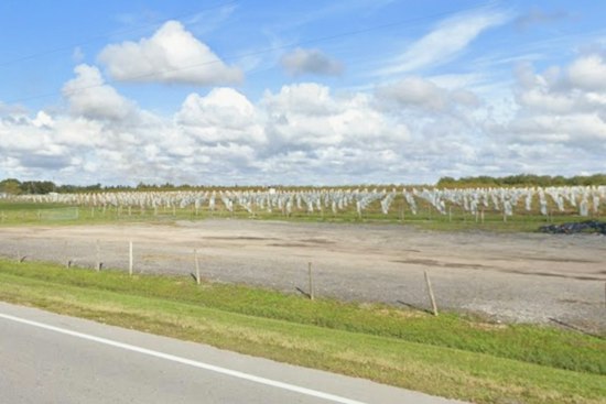 584 Acres of Polk County Citrus Land Up for Auction, Draws Growers and Conservationists