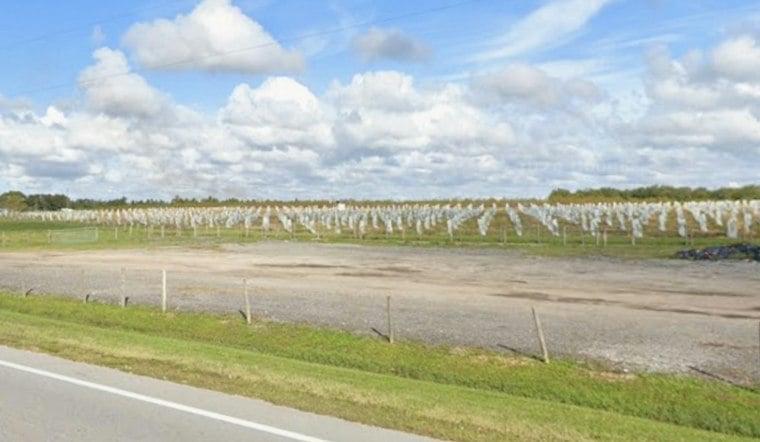 584 Acres of Polk County Citrus Land Up for Auction, Draws Growers and Conservationists