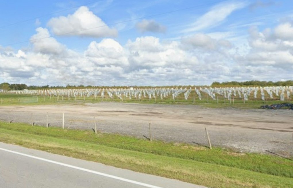 584 Acres of Polk County Citrus Land Up for Auction, Draws Growers and Conservationists