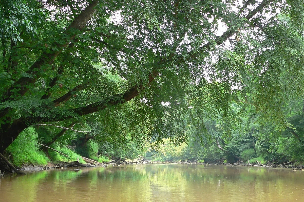 69 New Acres Shield Neuse River Near Clayton From Sprawling Growth
