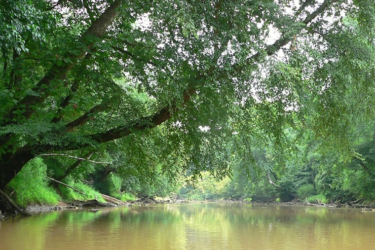 69 New Acres Shield Neuse River Near Clayton From Sprawling Growth