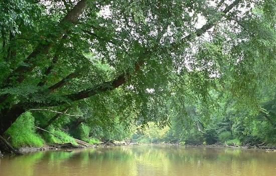 69 New Acres Shield Neuse River Near Clayton From Sprawling Growth