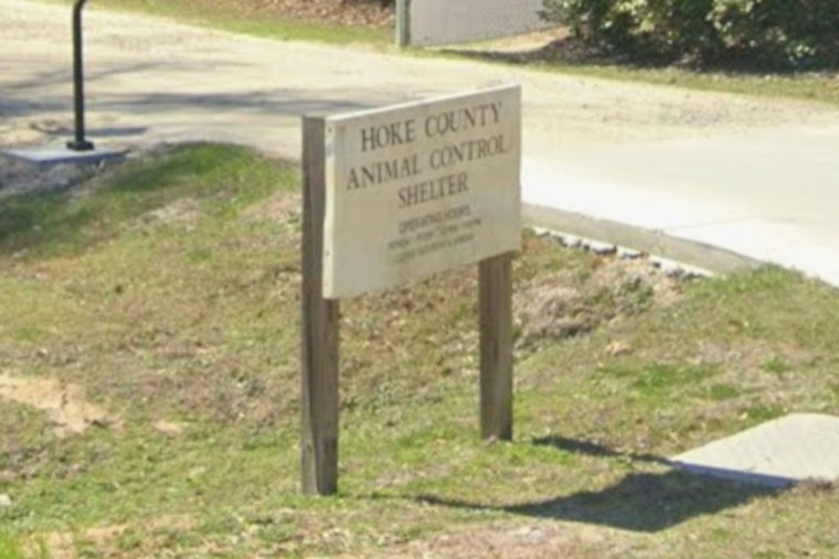 7-Foot Pet Boa Vanishes In Raeford, Neighbors Told To Check Car Hoods