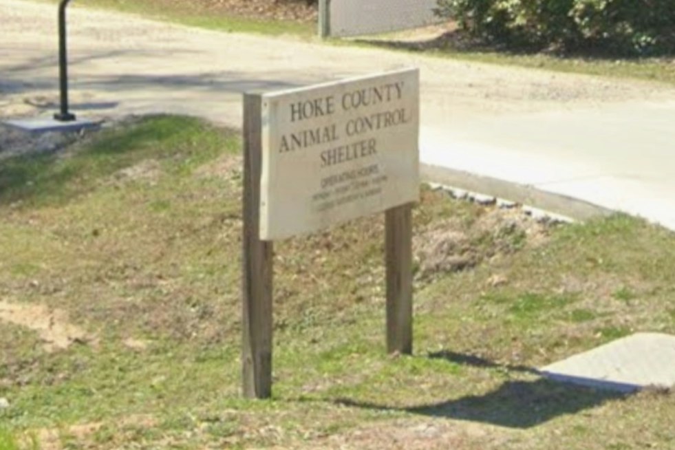 7-Foot Pet Boa Vanishes In Raeford, Neighbors Told To Check Car Hoods