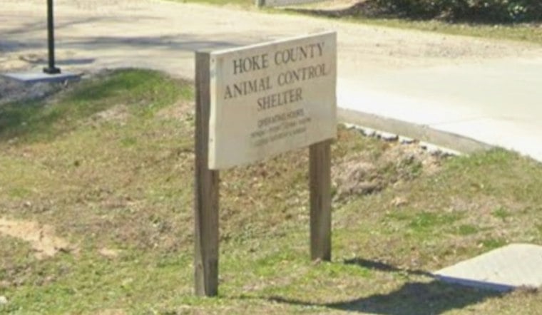 7-Foot Pet Boa Vanishes In Raeford, Neighbors Told To Check Car Hoods