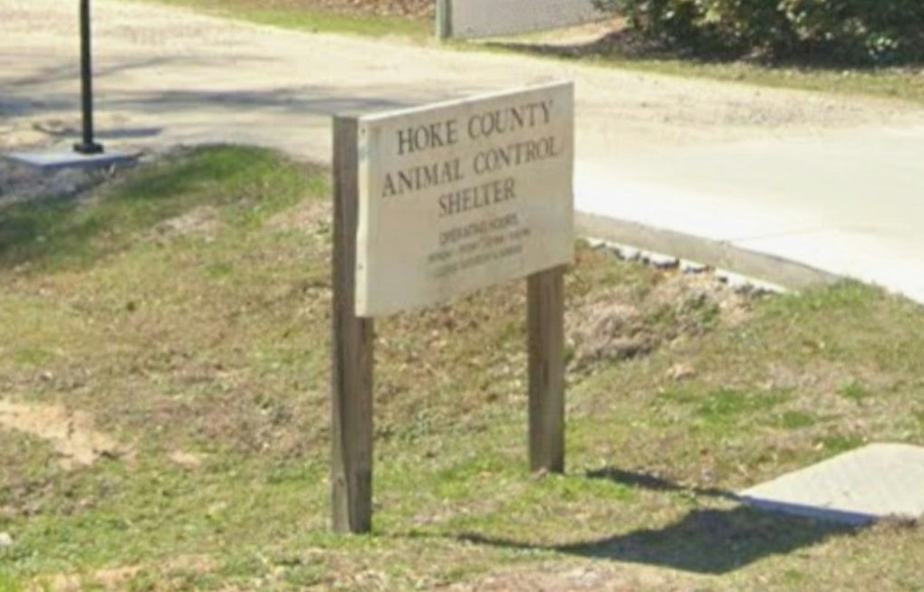 7-Foot Pet Boa Vanishes In Raeford, Neighbors Told To Check Car Hoods