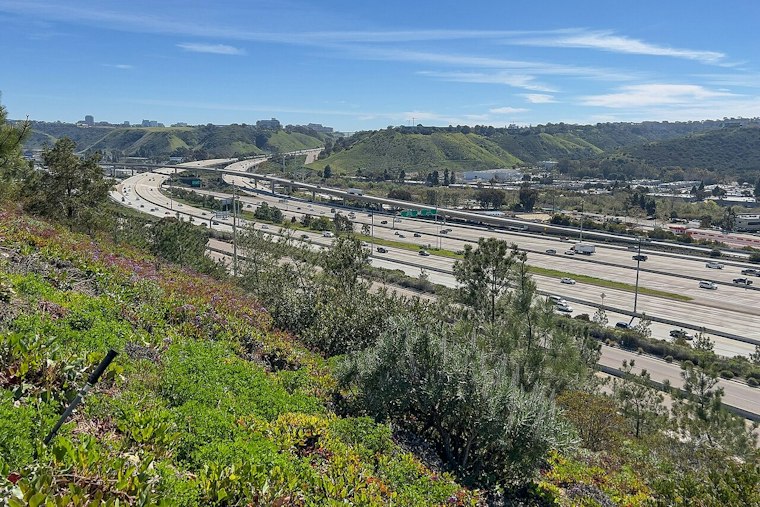90-Year-Old San Diego Driver Dies After Medical Emergency Stops Traffic on I-5