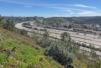 90-Year-Old San Diego Driver Dies After Medical Emergency Stops Traffic on I-5