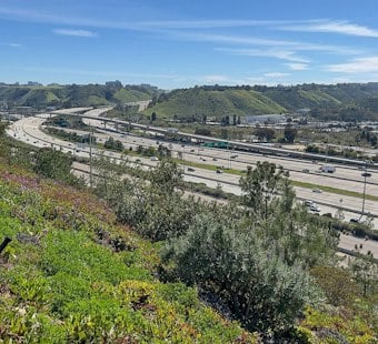 90-Year-Old San Diego Driver Dies After Medical Emergency Stops Traffic on I-5
