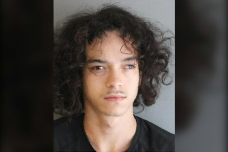 Afton Man, 21, Accused of Posing as Teen to Rape Child Under 13