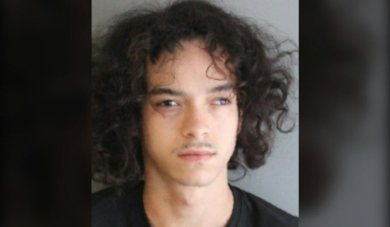 Afton Man, 21, Accused of Posing as Teen to Rape Child Under 13