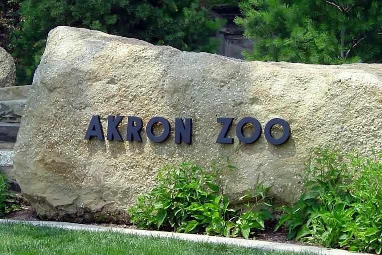 Akron Zoo Opens $10M Hospital Built to Handle Even Grizzly-Sized Patients