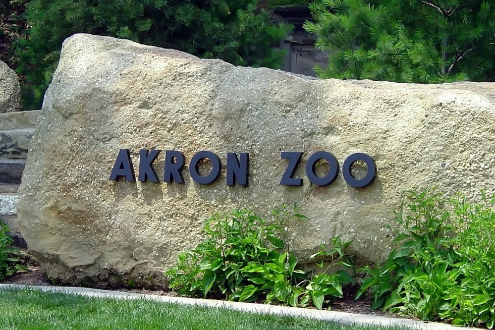 Akron Zoo Opens $10M Hospital Built to Handle Even Grizzly-Sized Patients