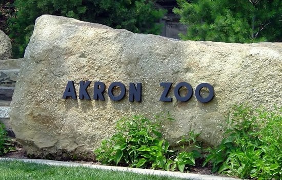 Akron Zoo Opens $10M Hospital Built to Handle Even Grizzly-Sized Patients