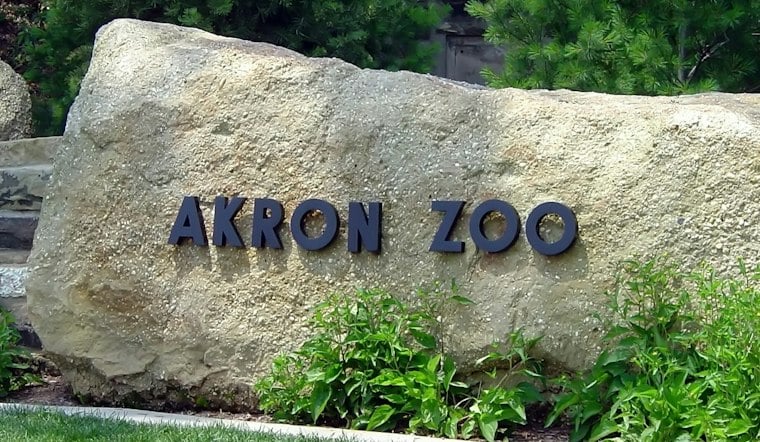 Akron Zoo Opens $10M Hospital Built to Handle Even Grizzly-Sized Patients