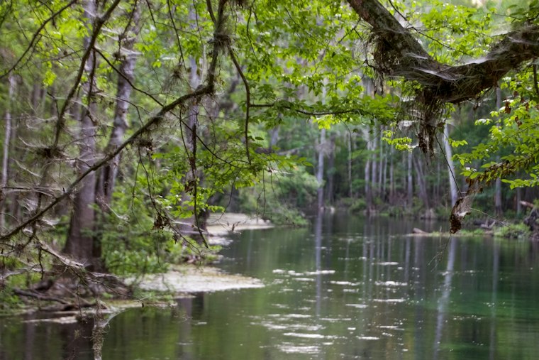 Alachua Man, 75, Found Dead at Ichetucknee Springs, Later IDed as Dennis Faust