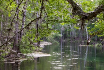 Alachua Man, 75, Found Dead at Ichetucknee Springs, Later IDed as Dennis Faust