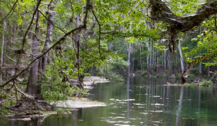 Alachua Man, 75, Found Dead at Ichetucknee Springs, Later IDed as Dennis Faust