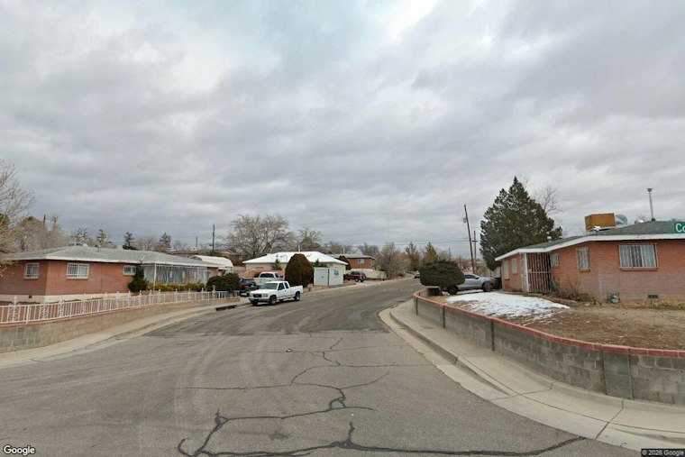 Albuquerque Arrest Uncovers 100-Plus Cats, Then a Garage Fire Forces Evacuations