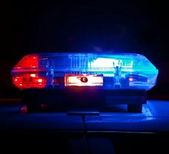 Aliquippa Cop Shot Runaway Dog in the Face Over Dead Chickens, Activists Say