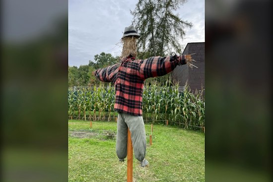 All 91 Lampposts Claimed as Roswell's Scarecrow Invasion Hits Canton Street