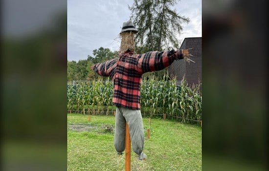 All 91 Lampposts Claimed as Roswell's Scarecrow Invasion Hits Canton Street