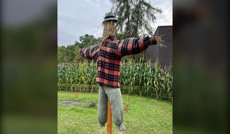 All 91 Lampposts Claimed as Roswell's Scarecrow Invasion Hits Canton Street