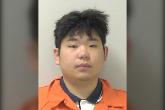 Allegan County Elder Scam Drains Nearly $500K — Police Nab Courier in Coded-Handoff Sting