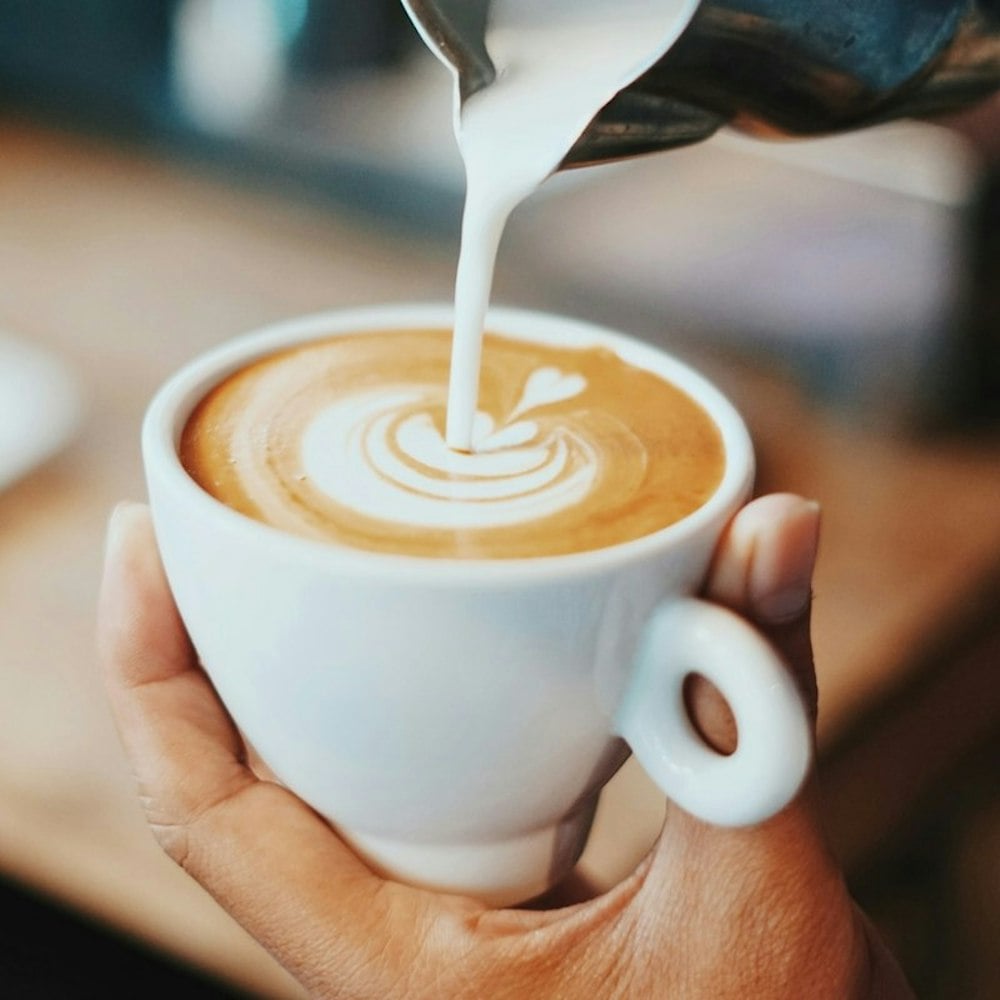 Analog Coffee Breaks Its 15-Year One-Shop Rule With Lake Union Cafe