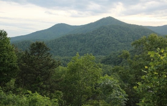 Anonymous Donor Gifts 70 Acres on Fork Mountain to Shield Appalachian Trail Views