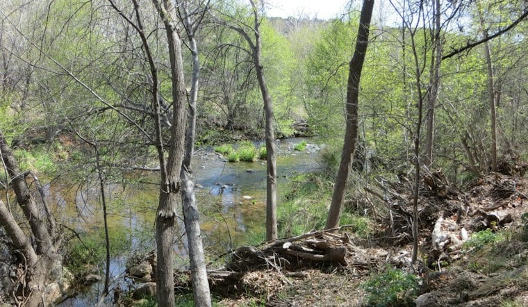 Arizona agencies rescue four after SUV is swept downstream near Wet Beaver Creek