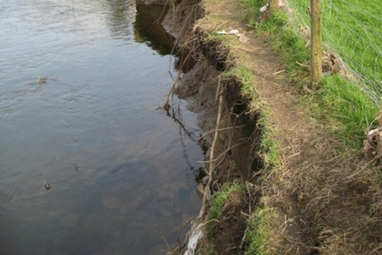 Arlington Creeks Are Swallowing Backyards, and Fixing It All Could Cost $1.16 Billion