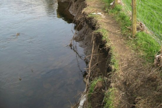 Arlington Creeks Are Swallowing Backyards, and Fixing It All Could Cost $1.16 Billion