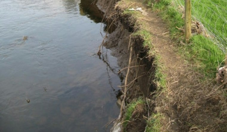 Arlington Creeks Are Swallowing Backyards, and Fixing It All Could Cost $1.16 Billion