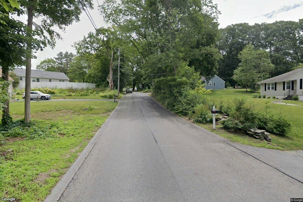 Auburn Hit-and-Run Driver Kills Family Dog on Stone Street, Police Hunt for Vehicle