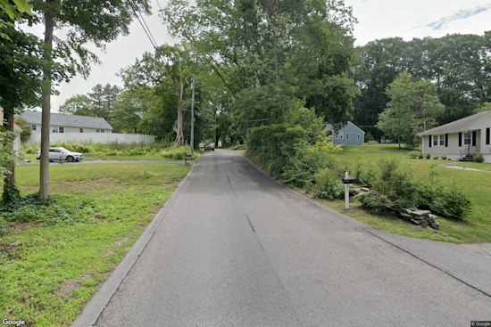 Auburn Hit-and-Run Driver Kills Family Dog on Stone Street, Police Hunt for Vehicle