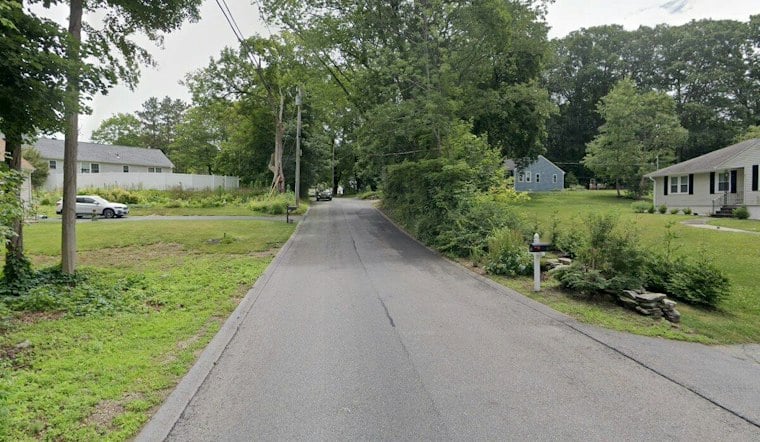 Auburn Hit-and-Run Driver Kills Family Dog on Stone Street, Police Hunt for Vehicle