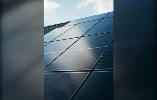 Aurora's 40-Acre Solar Garden Powers 1,200 Homes — and Hosts 20 Bee Colonies