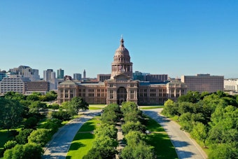 Austin's District 47 Race Pits a Democratic Insider Against an OB/GYN Outsider