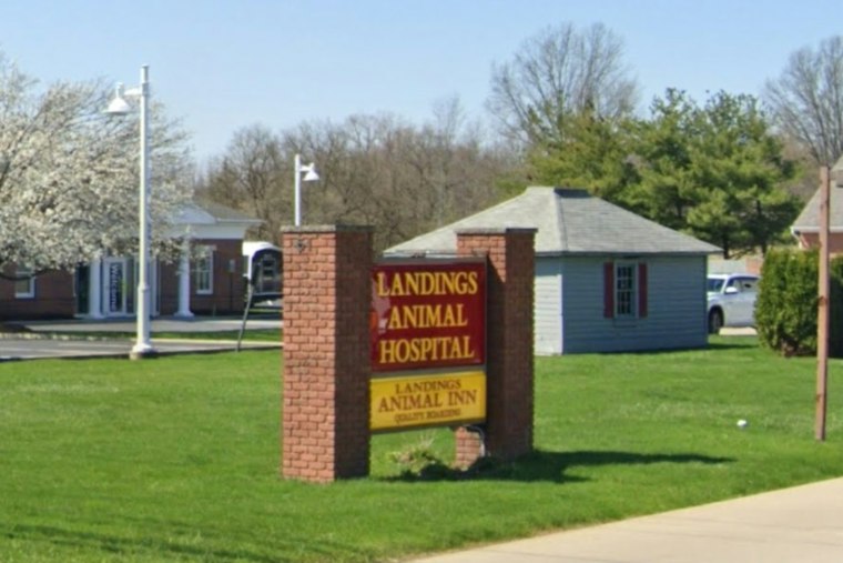 Avon Lake Vet Indicted After Allegedly Using Dead Dog to Get 2,000 Pills