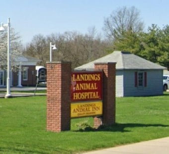 Avon Lake Vet Indicted After Allegedly Using Dead Dog to Get 2,000 Pills