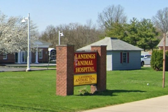 Avon Lake Vet Indicted After Allegedly Using Dead Dog to Get 2,000 Pills