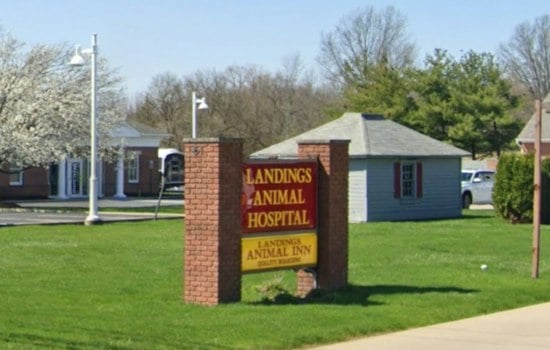 Avon Lake Vet Indicted After Allegedly Using Dead Dog to Get 2,000 Pills