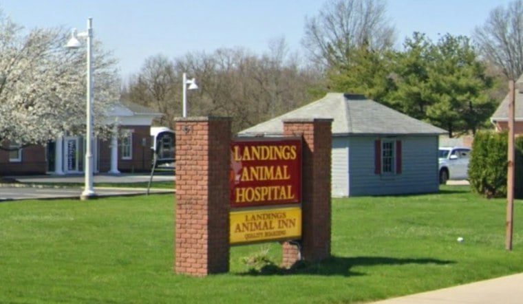Avon Lake Vet Indicted After Allegedly Using Dead Dog to Get 2,000 Pills